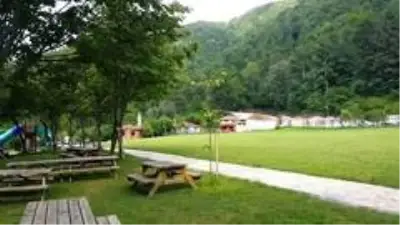 Düzce'de 23 piknik alanı bulunuyor - Haberler