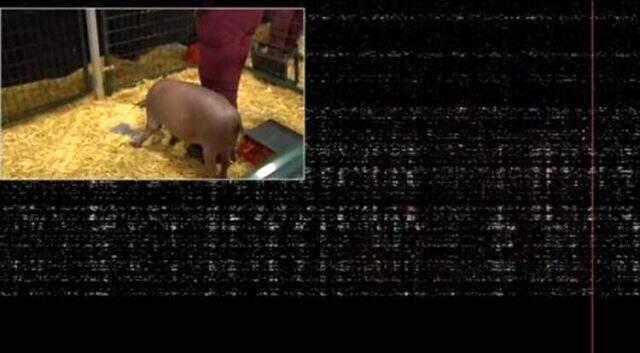 Elon Musk, mikroçip ile beyin kontrolü sağlayacak teknolojiyi tanıttı