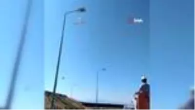 Martı yere atılan maske yüzünden elektrik direğinde asılı kaldı Martı yere atılan maske yüzünden elektrik direğinde asılı kaldı