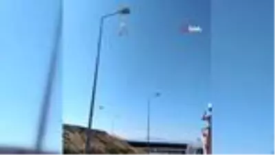 Martı yere atılan maske yüzünden elektrik direğinde asılı kaldı Martı yere atılan maske yüzünden elektrik direğinde asılı kaldı