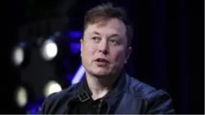 Neuralink nedir? Neuralink ne işe yarar? Neuralink nedir? Neuralink ne işe yarar?
