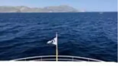 (SABAHA) Kovid-19 sürecinde 'dünyanın ilk sakin adası'na ilgi arttı (SABAHA) Kovid-19 sürecinde 'dünyanın ilk sakin adası'na ilgi arttı