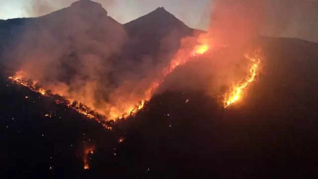 A fire broke out in a forest in Adana