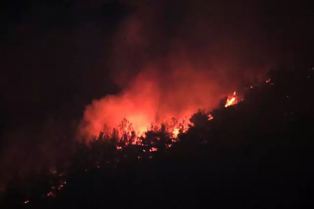 A fire broke out in a forest in Adana