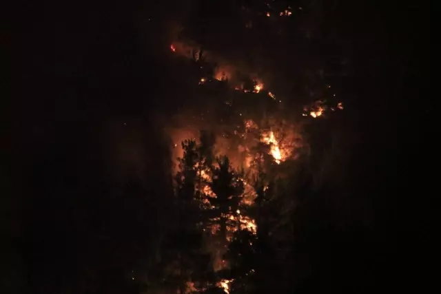 A fire broke out in a forest in Adana