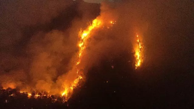 A fire broke out in a forest in Adana