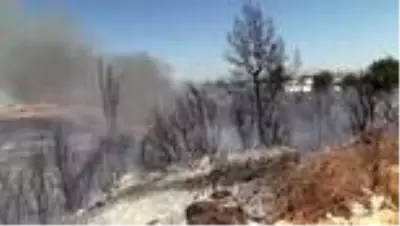 Son dakika haberi | Antalya'da otluk ve çalılık alanda çıkan yangın seralara sıçramadan söndürüldü (2) Son dakika haberi | Antalya'da otluk ve çalılık alanda çıkan yangın seralara sıçramadan söndürüldü (2)