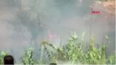 Antalya'da, seralara yakın otluk alanda yangın Antalya'da, seralara yakın otluk alanda yangın