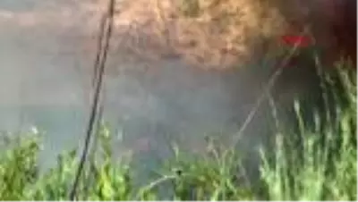 Antalya'da, seralara yakın otluk alanda yangın Antalya'da, seralara yakın otluk alanda yangın