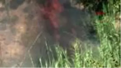Antalya'da, seralara yakın otluk alanda yangın Antalya'da, seralara yakın otluk alanda yangın