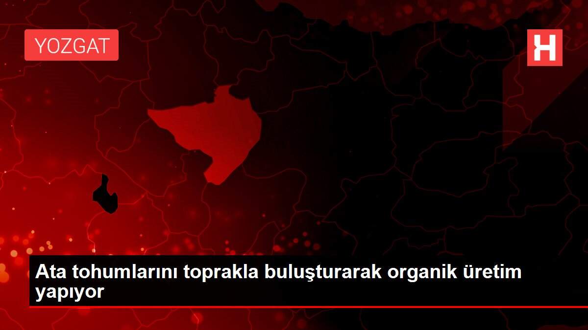 Ata tohumlarını toprakla buluşturarak organik üretim yapıyor