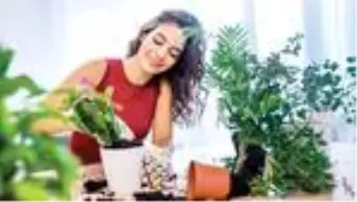 Evinizi botanik bahçesine dönüştürün Evinizi botanik bahçesine dönüştürün