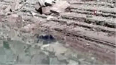 Kayıp balıkçının cesedi 6 ay sonra kıyıya vurdu Kayıp balıkçının cesedi 6 ay sonra kıyıya vurdu