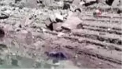 Kayıp balıkçının cesedi 6 ay sonra kıyıya vurdu Kayıp balıkçının cesedi 6 ay sonra kıyıya vurdu