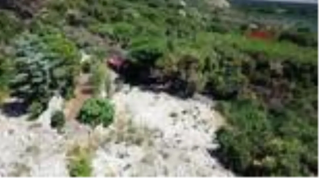 MALTEPE'DE ORMANLIK ALANDA YİNE YANGIN.. ETRAFA SIÇRAMADAN SÖNDÜRÜLDÜ