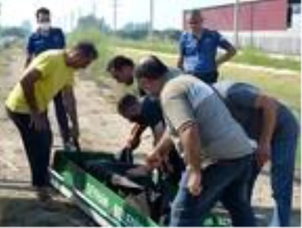 Serinlemek için girdiği sulama kanalında cansız bedeni bulundu