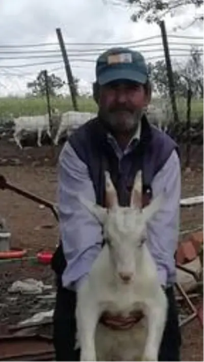Tartışan baba ve oğlu yarım saat arayla intihar etti