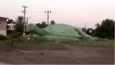 Uydu takip cihazı takılan kaplumbağalar denize bırakıldı Uydu takip cihazı takılan kaplumbağalar denize bırakıldı