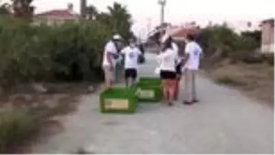 Uydu takip cihazı takılan kaplumbağalar denize bırakıldı Uydu takip cihazı takılan kaplumbağalar denize bırakıldı