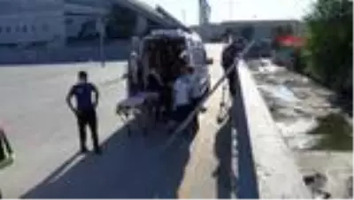 BAKIRKÖY'DE CEVİZ TOPLAMAK İÇİN AĞACA ÇIKAN ADAM DEREYE DÜŞTÜ BAKIRKÖY'DE CEVİZ TOPLAMAK İÇİN AĞACA ÇIKAN ADAM DEREYE DÜŞTÜ