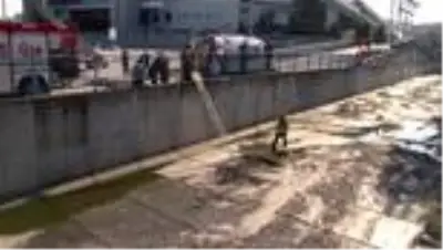 Bakırköy'de yaşlı adam ceviz ağacından dere yatağına düştü Bakırköy'de yaşlı adam ceviz ağacından dere yatağına düştü