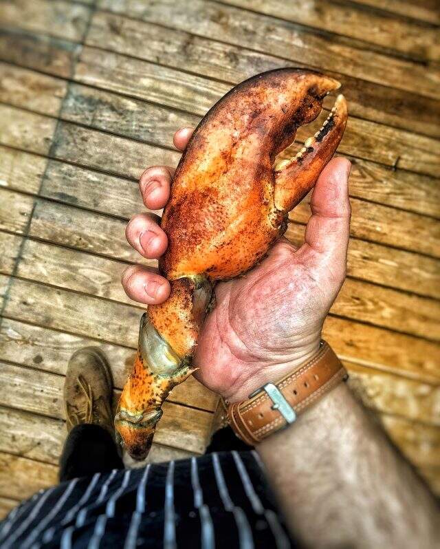 MasterChef Berker kimdir? MasterChef Berker MasterChef Türkiye yolculuğu ve MasterChef Berker hayat hikayesi! MasterChef Berker Instagram hesabı!