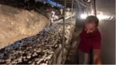 Son dakika haberi: Sağlık sorunları nedeniyle başladığı işten 50 günde 25 bin TL kazanıyor Son dakika haberi: Sağlık sorunları nedeniyle başladığı işten 50 günde 25 bin TL kazanıyor