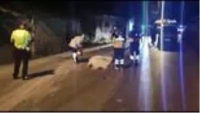 Başkent'te virajı alamayan motosiklet sürücüsü duvara çarptı: 1 ölü Başkent'te virajı alamayan motosiklet sürücüsü duvara çarptı: 1 ölü