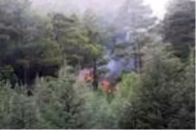 Bucak'ta orman yangını (2) Bucak'ta orman yangını (2)