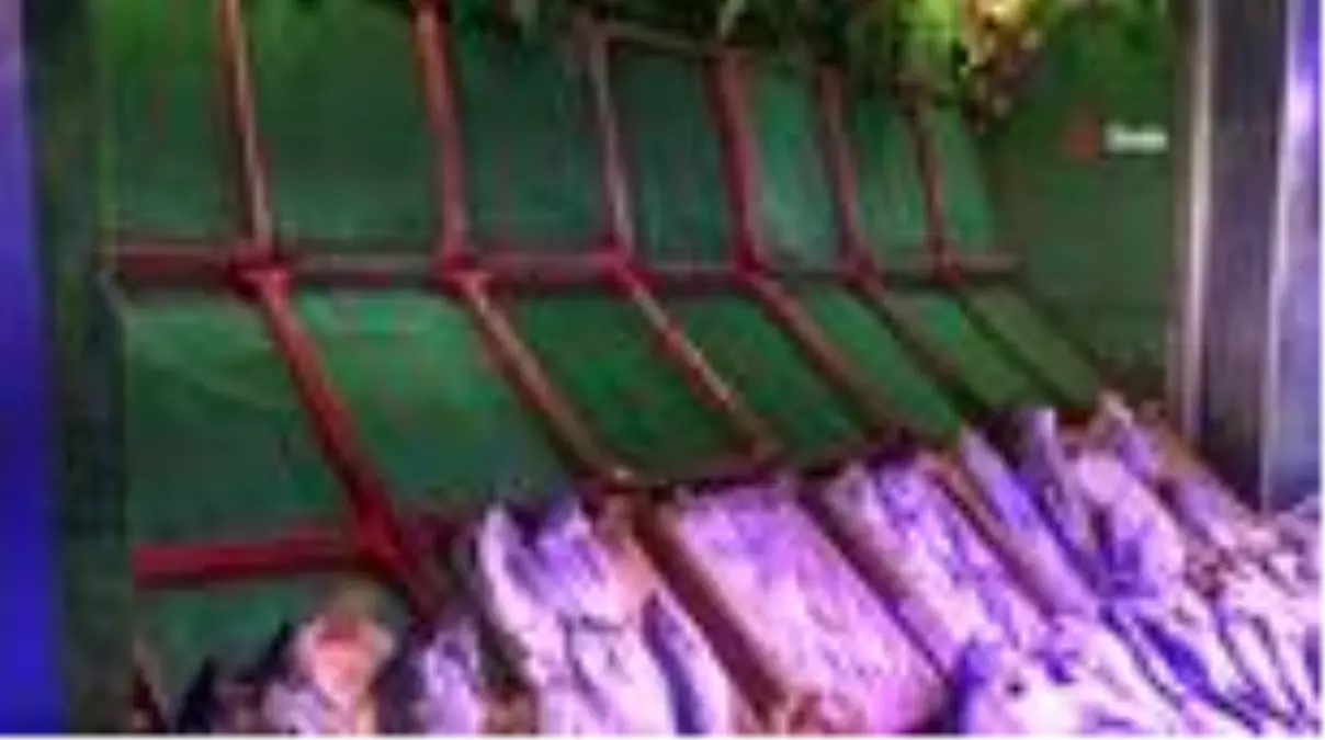 Eskişehir'de balık sezonu durgun başladı