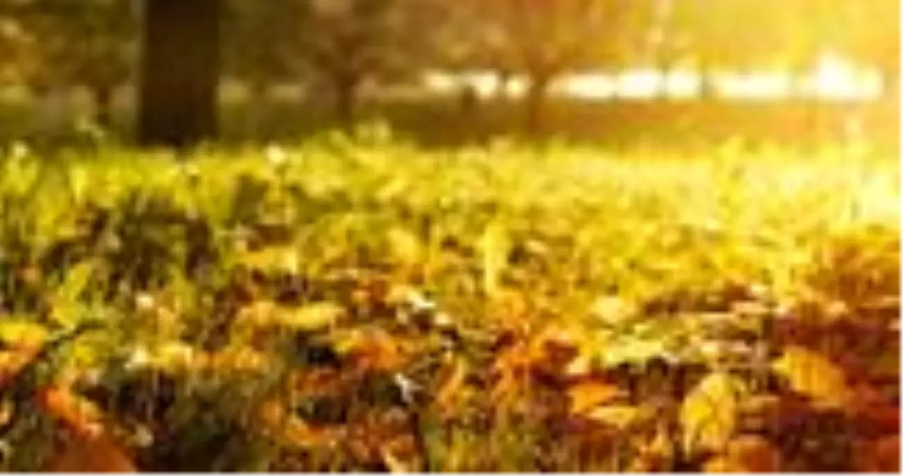 Eylül anlamı: Eylül ne demek? Eylül ayı doğa takvimi