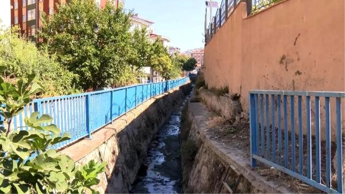 Maltepe'de mahalle sakinleri dereden yayılan kokuya isyan etti - Haber