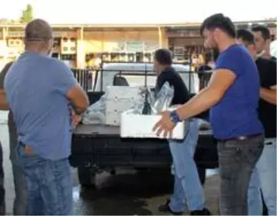 Beklenen gün geldi! 'Vira Bismillah' diyen balıkçılar kasalar dolusu palamutla döndü Beklenen gün geldi! 'Vira Bismillah' diyen balıkçılar kasalar dolusu palamutla döndü