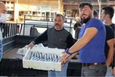Beklenen gün geldi! 'Vira Bismillah' diyen balıkçılar kasalar dolusu palamutla döndü Beklenen gün geldi! 'Vira Bismillah' diyen balıkçılar kasalar dolusu palamutla döndü