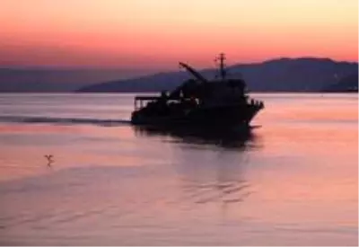 Beklenen gün geldi! 'Vira Bismillah' diyen balıkçılar kasalar dolusu palamutla döndü Beklenen gün geldi! 'Vira Bismillah' diyen balıkçılar kasalar dolusu palamutla döndü