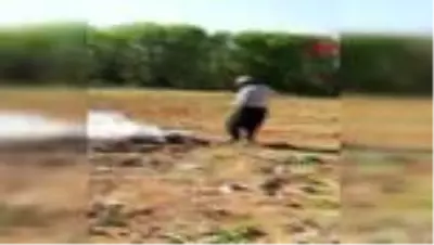 GAZİANTEP Tarlada çalışırken başına mermi isabet eden çiftçi, hayatını kaybetti GAZİANTEP Tarlada çalışırken başına mermi isabet eden çiftçi, hayatını kaybetti