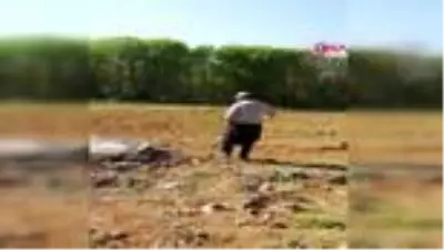 GAZİANTEP Tarlada çalışırken başına mermi isabet eden çiftçi, hayatını kaybetti GAZİANTEP Tarlada çalışırken başına mermi isabet eden çiftçi, hayatını kaybetti