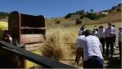 Hasat sonlandırma şenliğinde patos attılar Hasat sonlandırma şenliğinde patos attılar