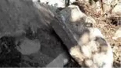 Kütahya'da 'Lahit mezar' bulundu Kütahya'da 'Lahit mezar' bulundu