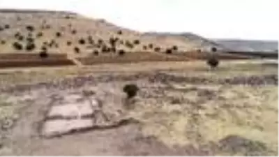 1600 yıllık 'Gola' mozaiklerini tahrip ettiler 1600 yıllık 'Gola' mozaiklerini tahrip ettiler
