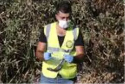 Ankara'nın içme suyunu besleyen Mera Çayı'na, 'kimyasal atık' döküldü iddiası Ankara'nın içme suyunu besleyen Mera Çayı'na, 'kimyasal atık' döküldü iddiası