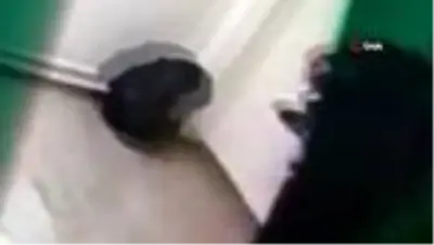 Ayakkabı hırsızı kamerada Ayakkabı hırsızı kamerada
