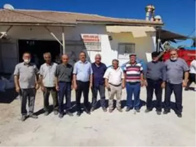 Çorumda çerezlik ayçiçeği yetiştiriciliği alanları hızla artıyor Çorumda çerezlik ayçiçeği yetiştiriciliği alanları hızla artıyor