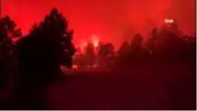 Son dakika haber... DENİZLİ) Bakan Pakdemirli yangının genişlememesi için 'karşı ateş' talimatı verdi Son dakika haber... DENİZLİ) Bakan Pakdemirli yangının genişlememesi için 'karşı ateş' talimatı verdi