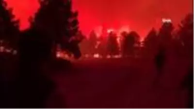 Son dakika haber... DENİZLİ) Bakan Pakdemirli yangının genişlememesi için 'karşı ateş' talimatı verdi Son dakika haber... DENİZLİ) Bakan Pakdemirli yangının genişlememesi için 'karşı ateş' talimatı verdi