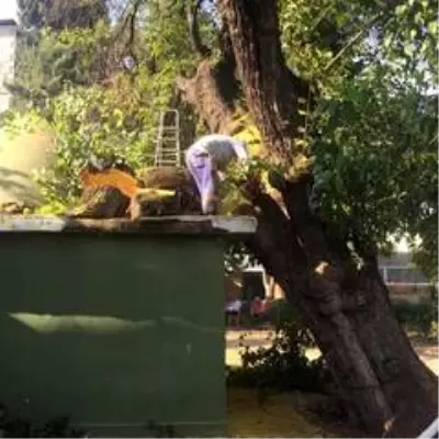 Hulk Dede Türbesinin çevre düzenlemesi başladı Hulk Dede Türbesinin çevre düzenlemesi başladı