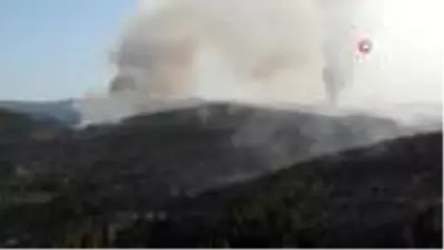 Kastamonu'da ormanlık alanda çıkan yangın söndürülemiyor Kastamonu'da ormanlık alanda çıkan yangın söndürülemiyor