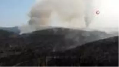 Kastamonu'da ormanlık alanda çıkan yangın söndürülemiyor