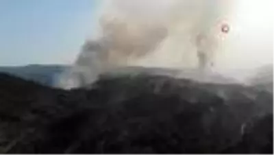 Kastamonu'da ormanlık alanda çıkan yangın söndürülemiyor