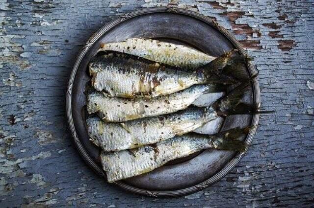 Omega 3 nedir? Omega 3 faydaları nelerdir? Omega 3 fiyatı nedir? Omega 3 çeşitleri nelerdir?Balık yağı ne işe yarar? Balık yağının faydaları nelerdir? Omega 3 nedir? Omega 3 faydaları nelerdir? Omega 3 fiyatı nedir? Omega 3 çeşitleri nelerdir?Balık yağı ne işe yarar? Balık yağının faydaları nelerdir?